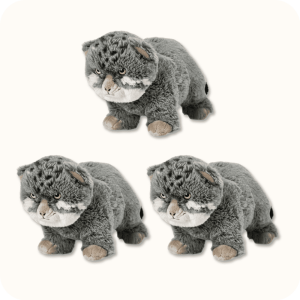 Pallas Cat Plush 3PCS
