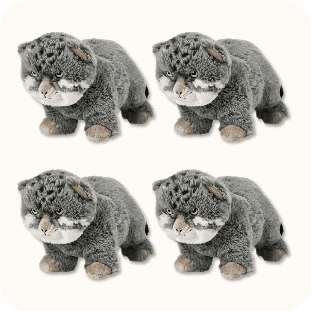 Pallas Cat Plush 4PCS Pallas Cat Plush 4PCS